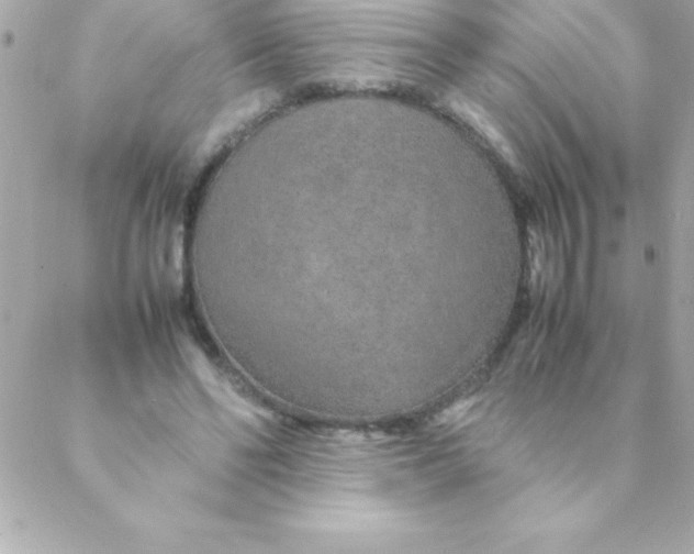 X0000088620494200706151856