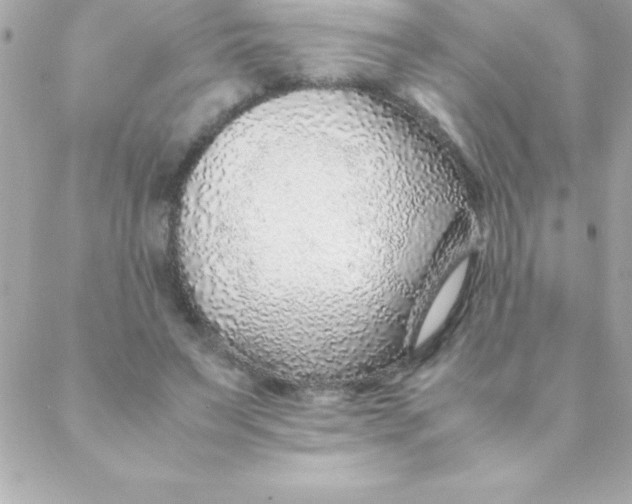 X0000088620495200706151856