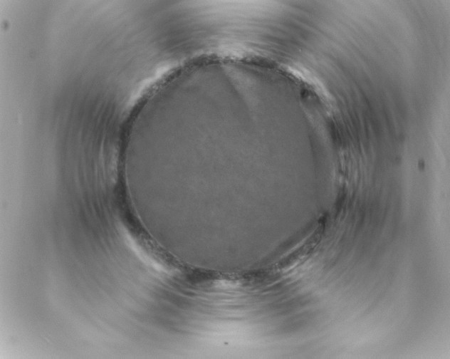 X0000088620496200706151856