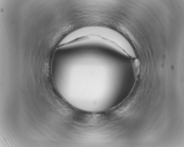 X0000088620497200706151856