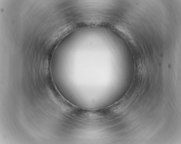 X0000088620498200706151856