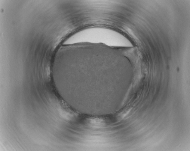 X0000088620500200706151856