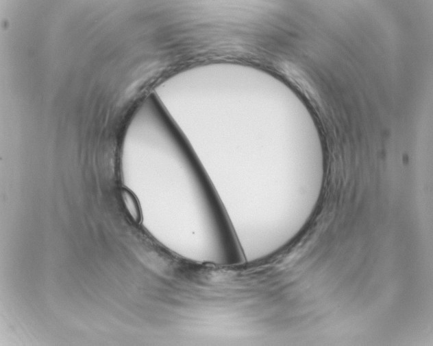 X0000088620501200706151856