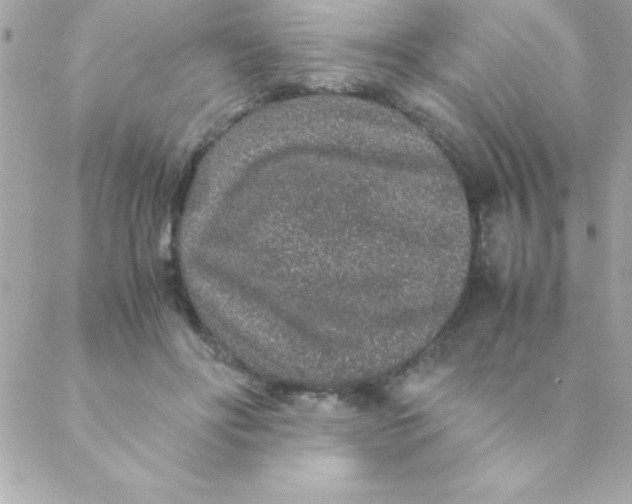 X0000088620502200706151856