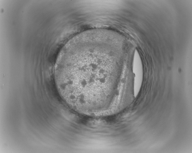 X0000088620503200706151855