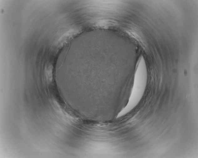 X0000088620504200706151855