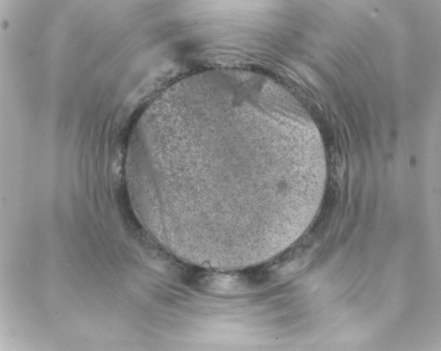 X0000088620507200706151855