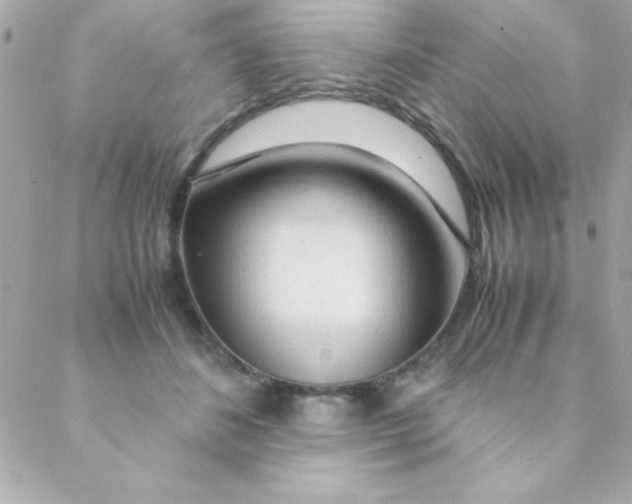 X0000088620508200706151855