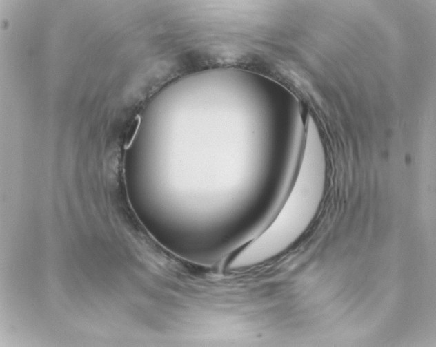 X0000088620509200706151855