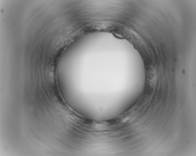 X0000088620510200706151855