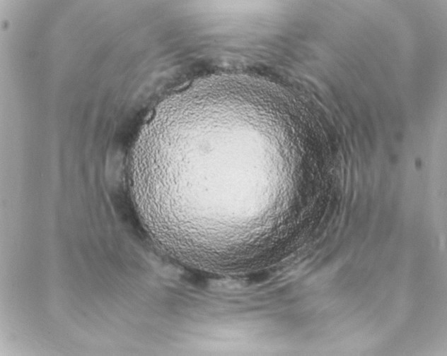 X0000088620511200706151855