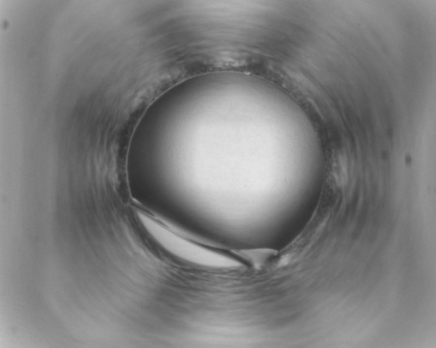 X0000088620512200706151855