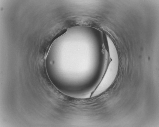 X0000088620513200706151855