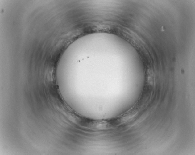 X0000088620514200706151855