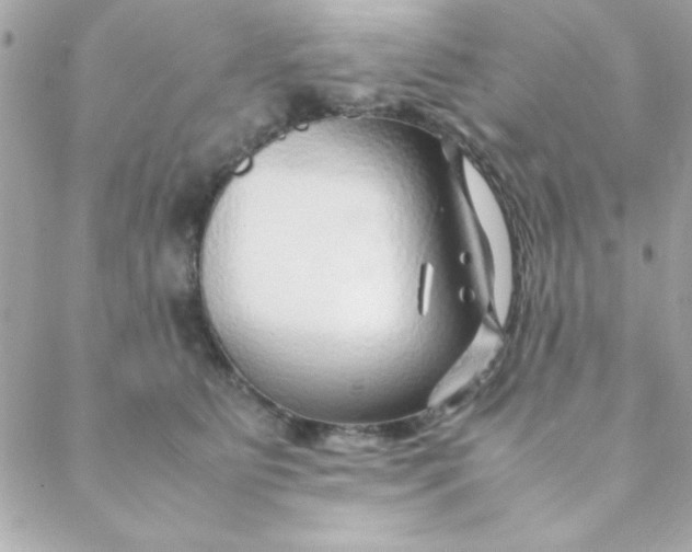 X0000088620515200706151855