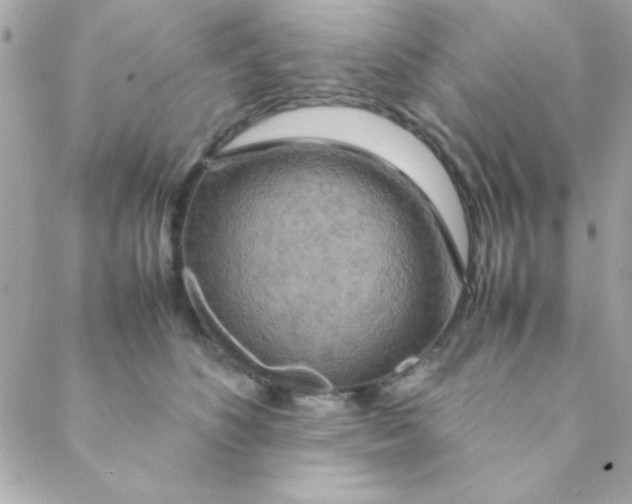 X0000088620516200706151855