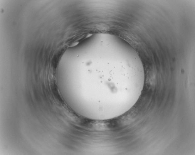 X0000088620518200706151855