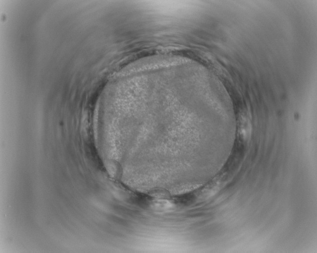 X0000088620519200706151855