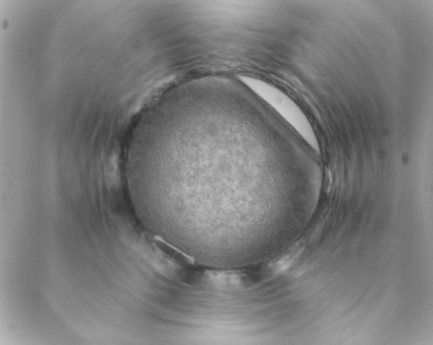 X0000088620520200706151855