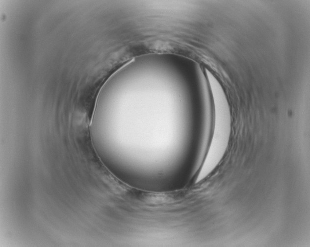 X0000088620521200706151855