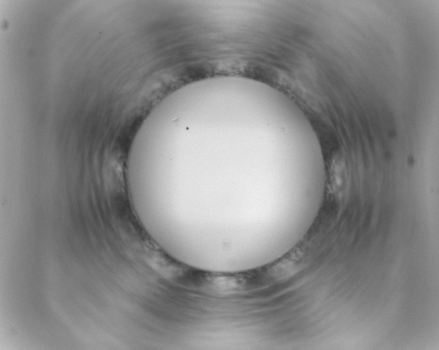 X0000088620522200706151855