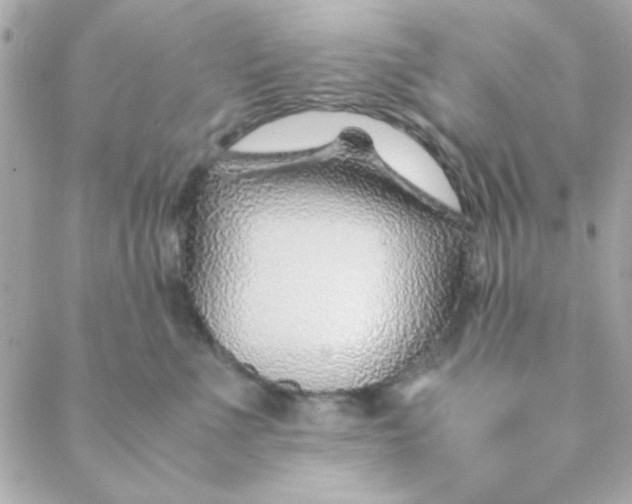 X0000088620523200706151855