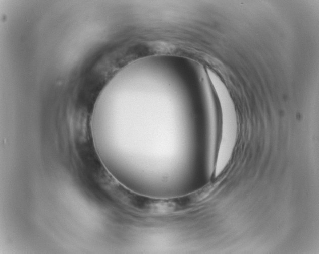 X0000088620525200706151855