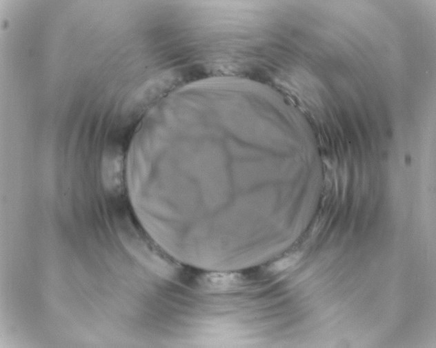 X0000088620526200706151855