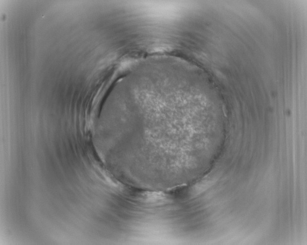 X0000088620528200706151855