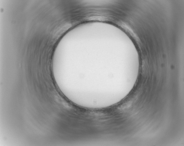 X0000088620529200706151854