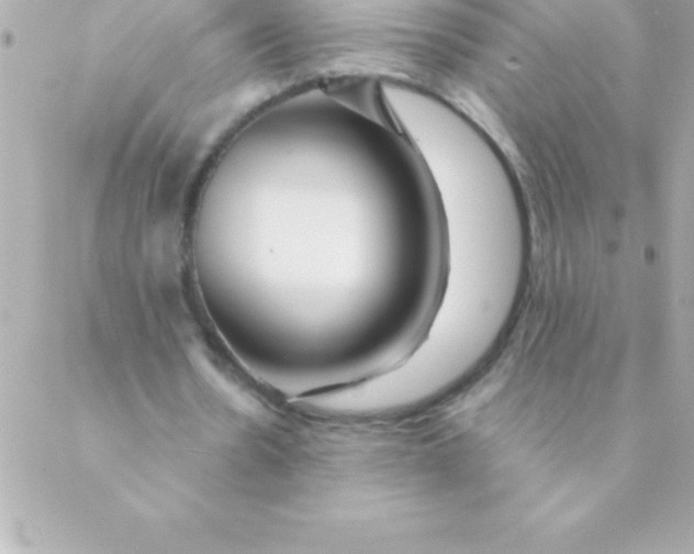 X0000088620530200706151854