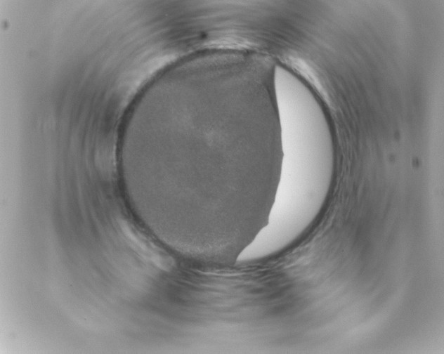 X0000088620531200706151854