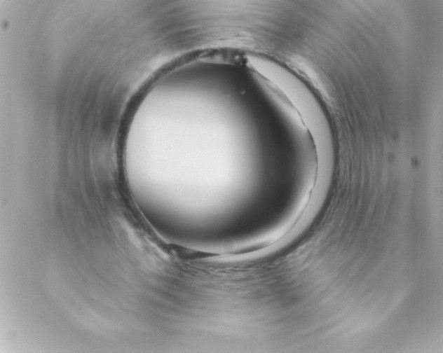 X0000088620532200706151854