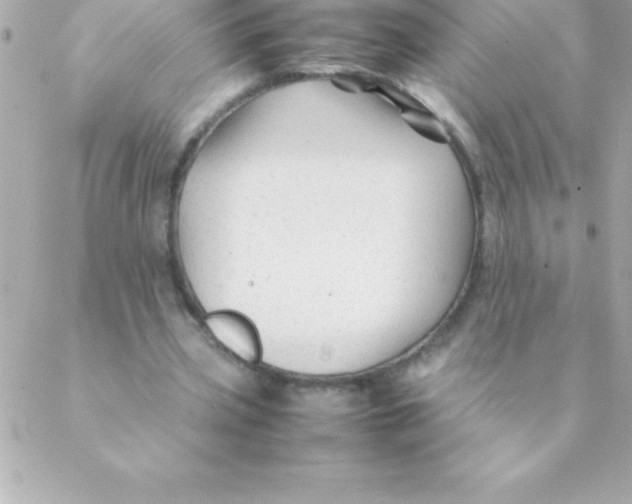 X0000088620533200706151854