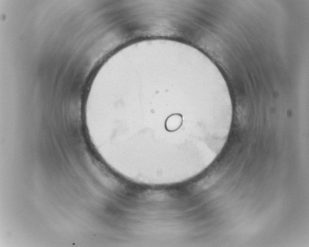 X0000088620534200706151854