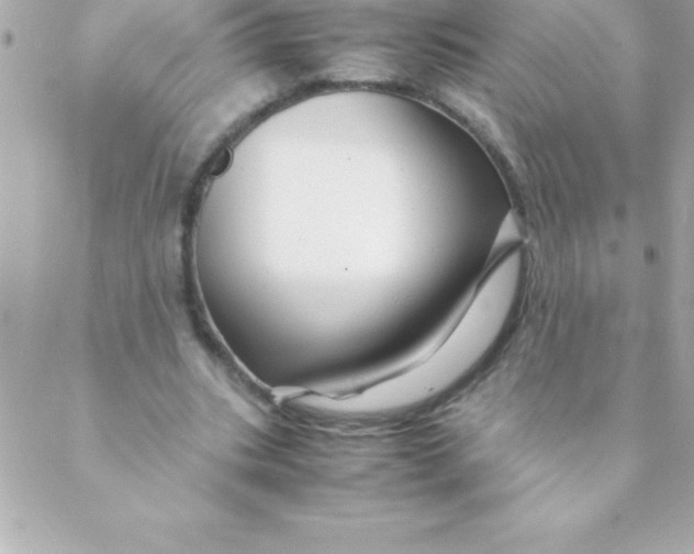 X0000088620535200706151854