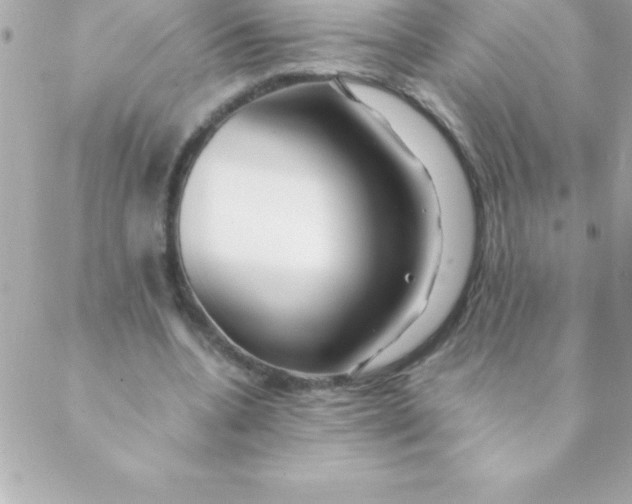 X0000088620536200706151854