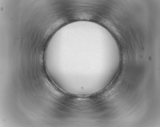 X0000088620537200706151854