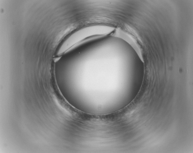 X0000088620538200706151854