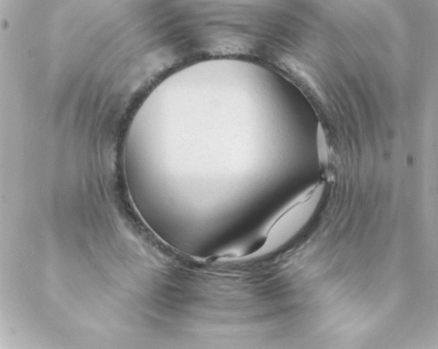 X0000088620539200706151854