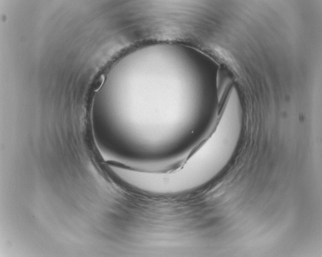 X0000088620540200706151854