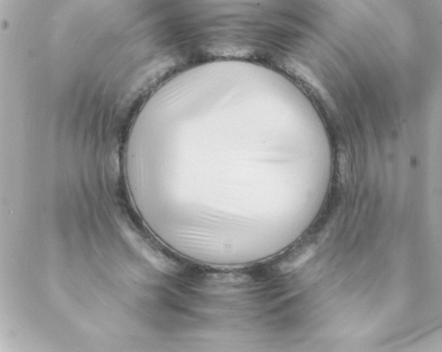 X0000088620541200706151854