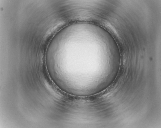 X0000088620542200706151855