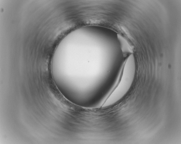 X0000088620543200706151855