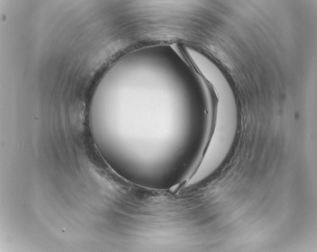 X0000088620544200706151855