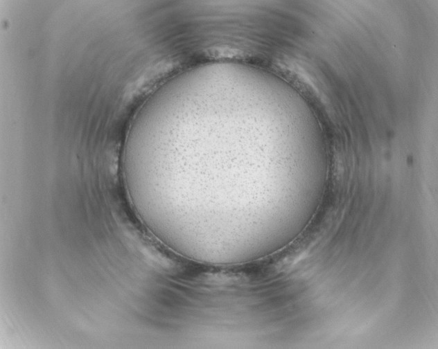 X0000088620545200706151855