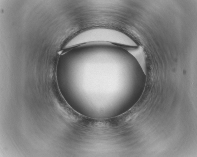 X0000088620546200706151855