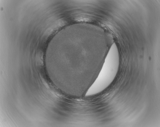 X0000088620547200706151855