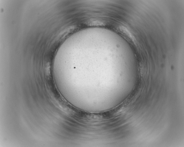 X0000088620549200706151855