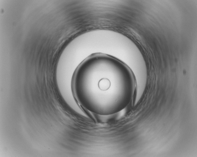 X0000088620552200706151855